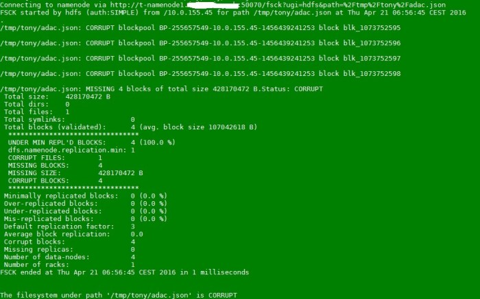 fsck - corrupted file