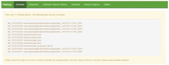 namenode web ui - overview information about blocks
